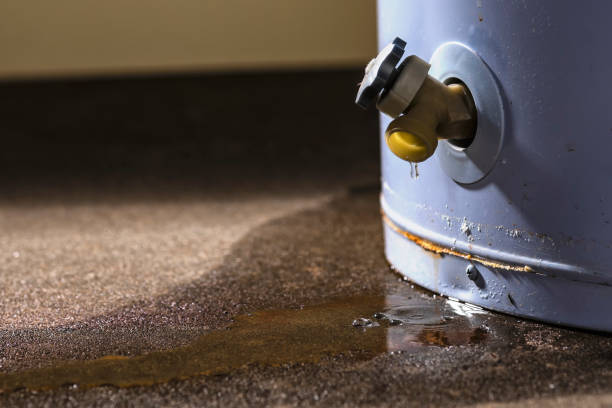 Best Basement water damage restoration  in Van Buren, AR