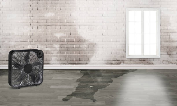 Best Water damage restoration specialists  in Van Buren, AR